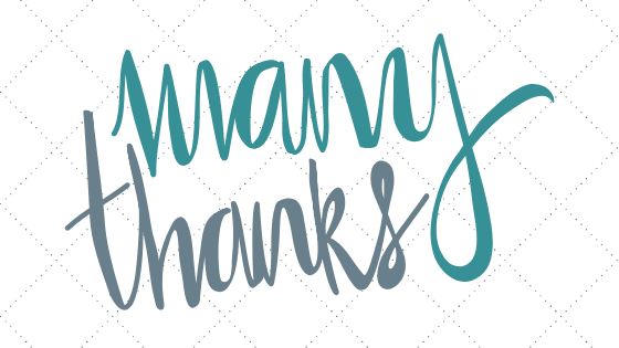You are currently viewing A Big ‘Thank You’ to our Interns