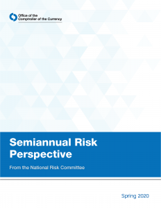 semi annual risk perspective