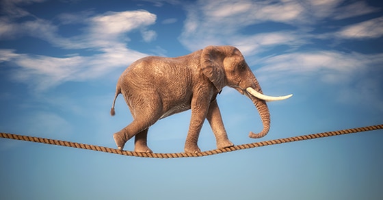 You are currently viewing Walking a tightrope? ERM can help