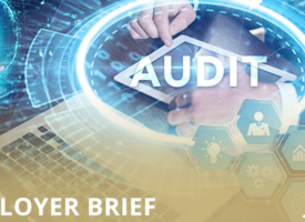 What are the typical steps in a DOL audit?