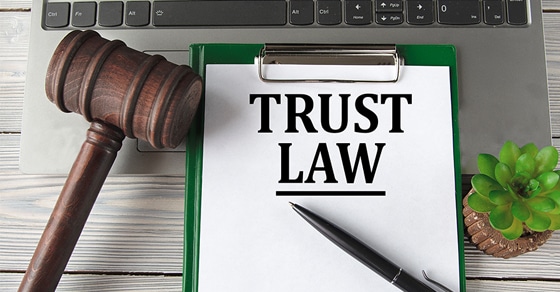 You are currently viewing Comparing inter vivos and testamentary trusts