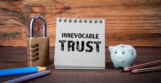 You are currently viewing When one trustee isn’t enough, consider appointing a trust protector