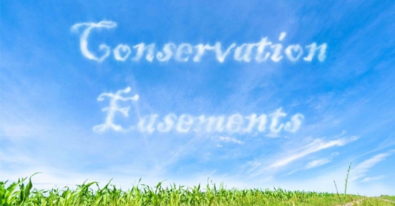 You are currently viewing Conservation easements are under IRS scrutiny