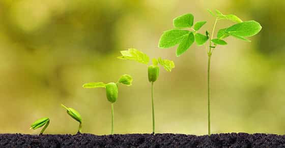 You are currently viewing How your board should evolve over your nonprofit’s life