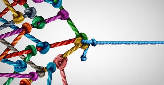 You are currently viewing One from many: Why your nonprofit might want to federate