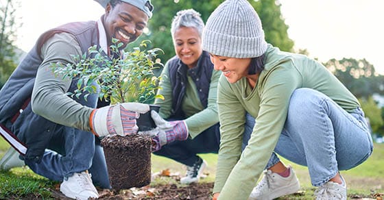 Home Mauldin & Jenkins